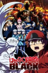 Hataraku Saibou Black เซลล์ขยัน พันธุ์เดือด แบล็ค ตอนที่ 1-13 ซับไทย จบแล้ว