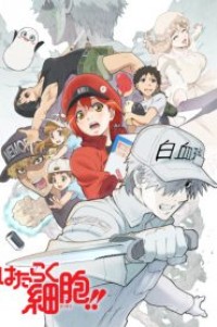 Hataraku Saibou!! เซลล์ขยัน พันธุ์เดือด (ภาค2) ตอนที่ 1-8 ซับไทย จบแล้ว