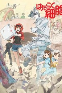 Hataraku Saibou เซลล์ขยัน พันธุ์เดือด ตอนที่ 1-14+OVA ซับไทย จบแล้ว